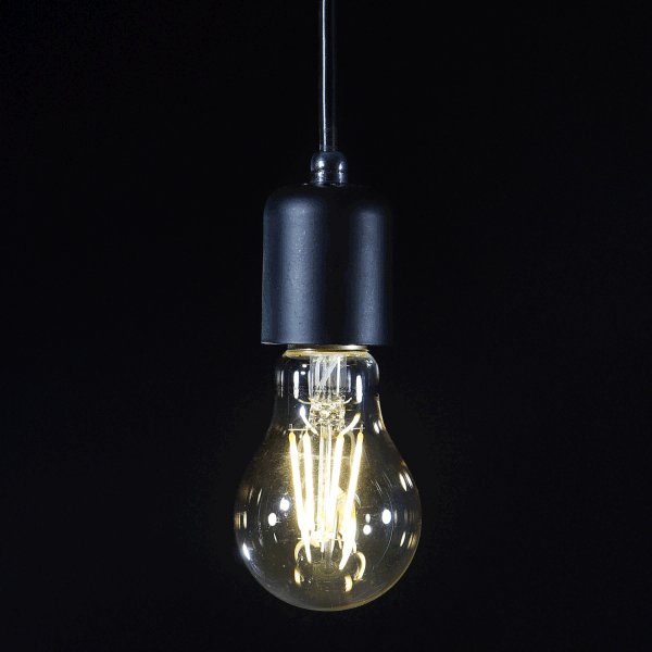 LED 에디슨 벌브 (골드) 4W, 8W